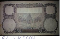 100 Lei 1910 (14. I.)